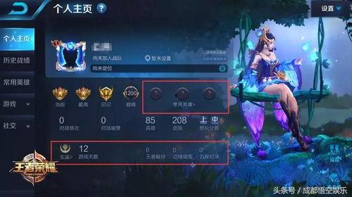 王者爆料兄弟怎么办啊视频,兄弟如何应对新版本挑战  第1张